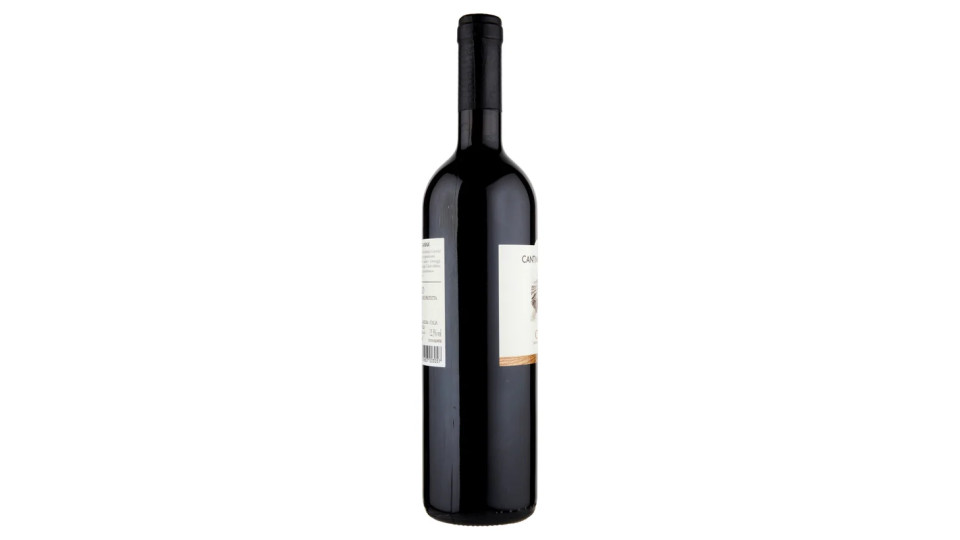 Cantina Villa Gianna Circeo Rosso DOP