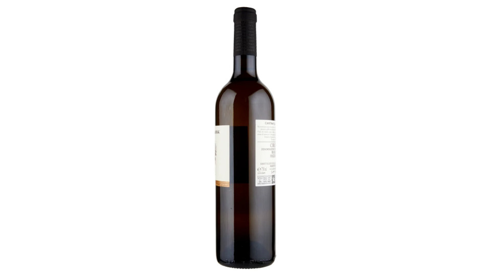 Cantina Villa Gianna Circeo Bianco Frizzante DOP