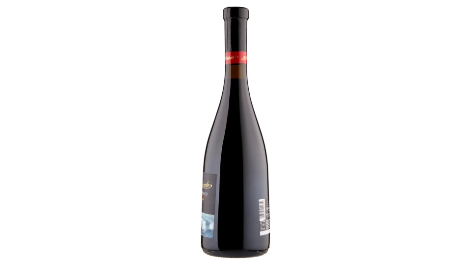 Il Baluardo Lambrusco Grasparossa di Castelvetro D.O.C.
