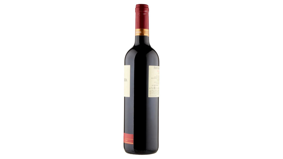 Fontana Candida Merlot Lazio IGT