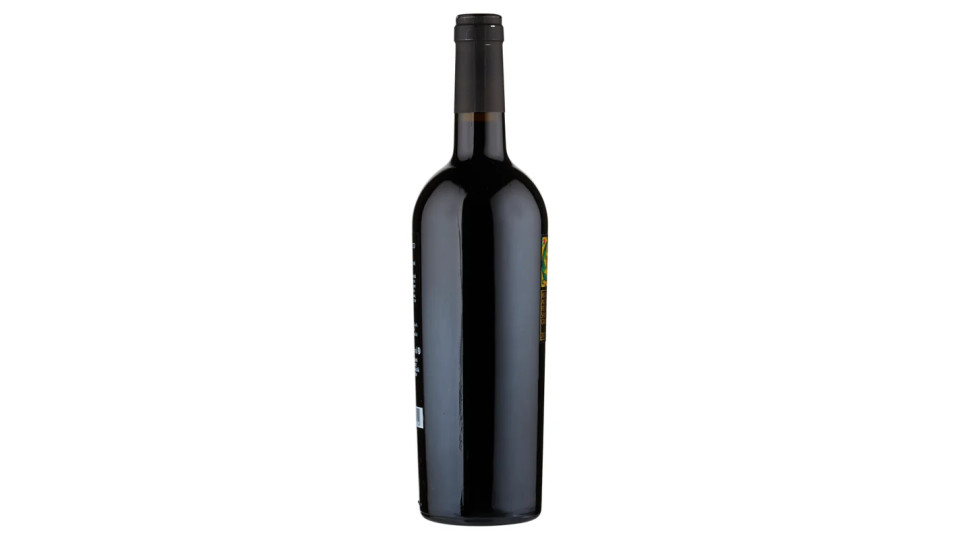 Feudi di San Gregorio Serpico Irpinia Aglianico DOC