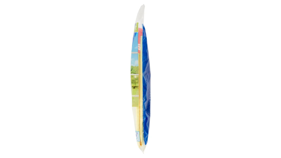 Vileda Actifibre Vetri e Finestre