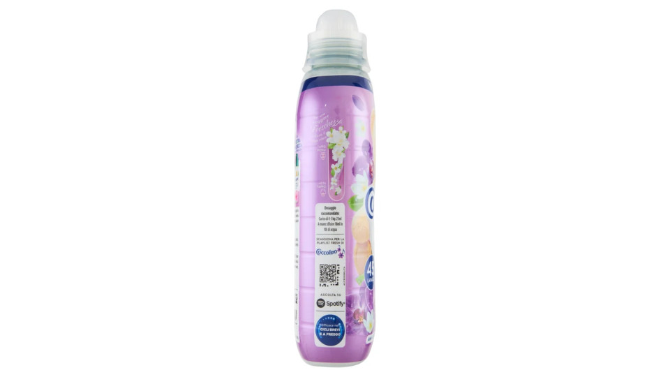 Coccolino Creations Ammorbidente Concentrato Orchidea Viola & Mirtilli