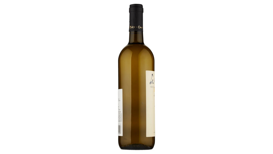 Le Muse Verdicchio dei Castelli di Jesi Classico DOC