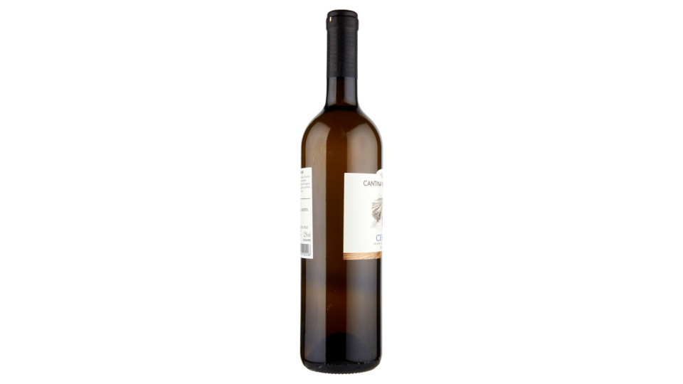 Cantina Villa Gianna Circeo Bianco DOP