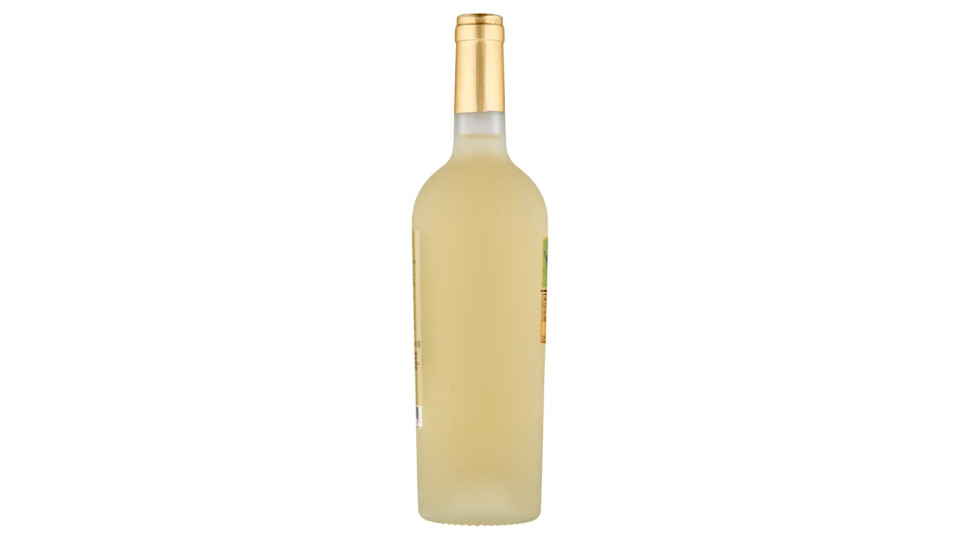 Feudi di San Gregorio Campanaro Irpinia Bianco DOC