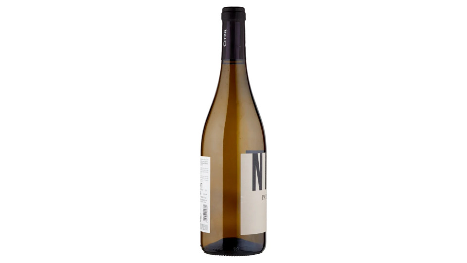 Codice Citra Niro Pecorino - Terre di Chieti IGP