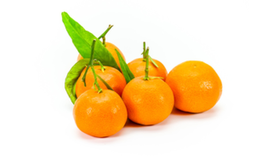 Clementine