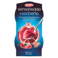 Sensofreddo il Sorbetto con Succo di Melograno e Frutti di Bosco