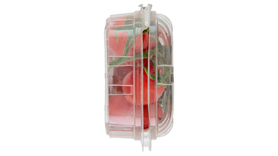 Pomodoro Datterino a 
