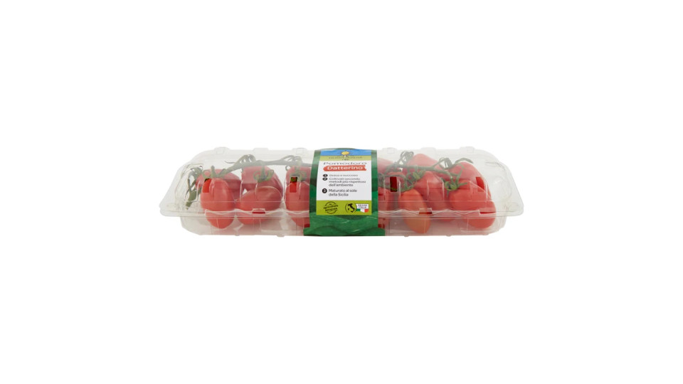 Pomodoro Datterino a 