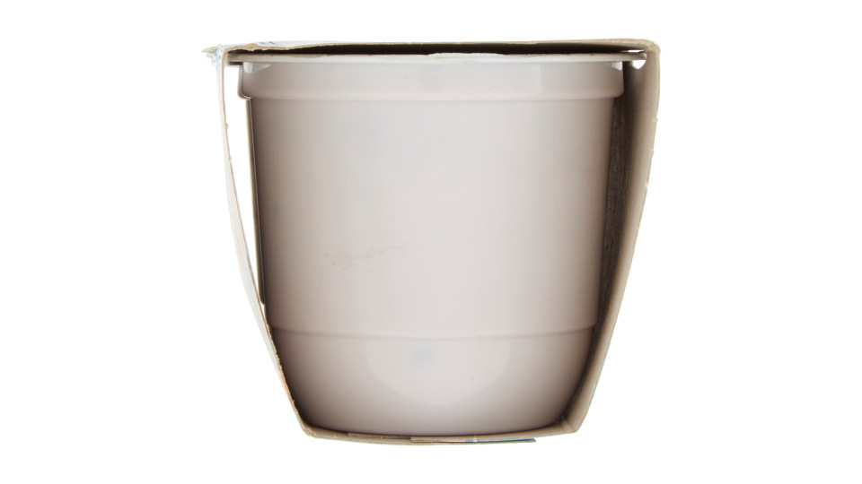Carnini Yogurt Intero con Pezzi alle Ciliegie