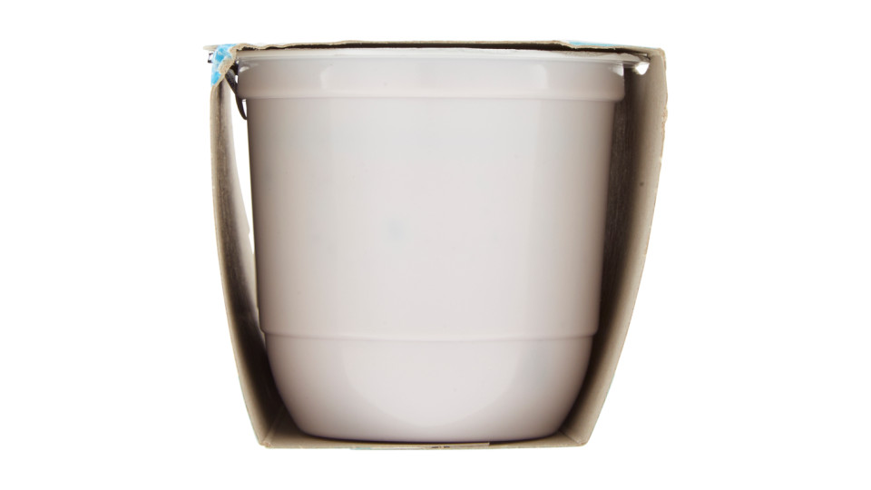 Carnini Yogurt Intero con Pezzi alle Ciliegie