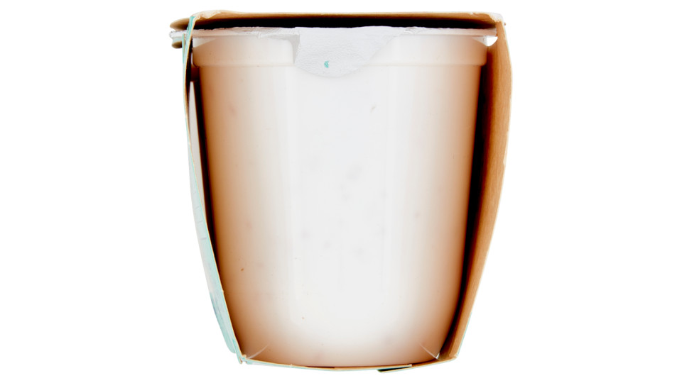 Granarolo Yogurt ai 5 Cereali
