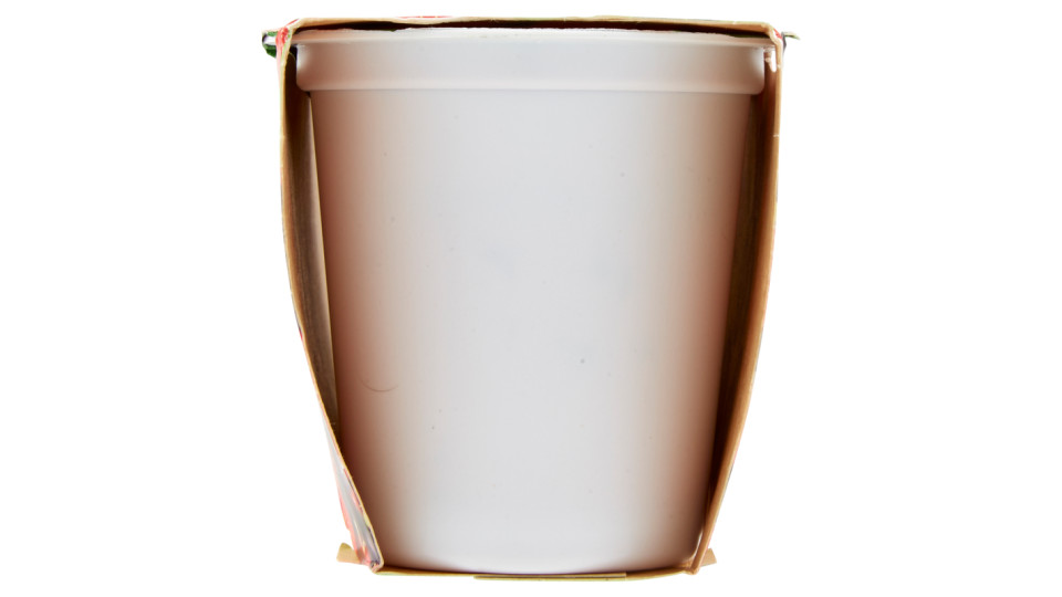 latte tigullio Yogurt Magro Frutti di Bosco