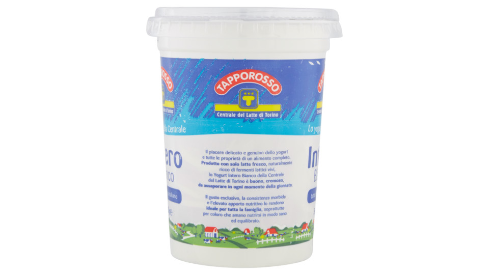 Centrale del Latte di Torino Yogurt Intero Bianco