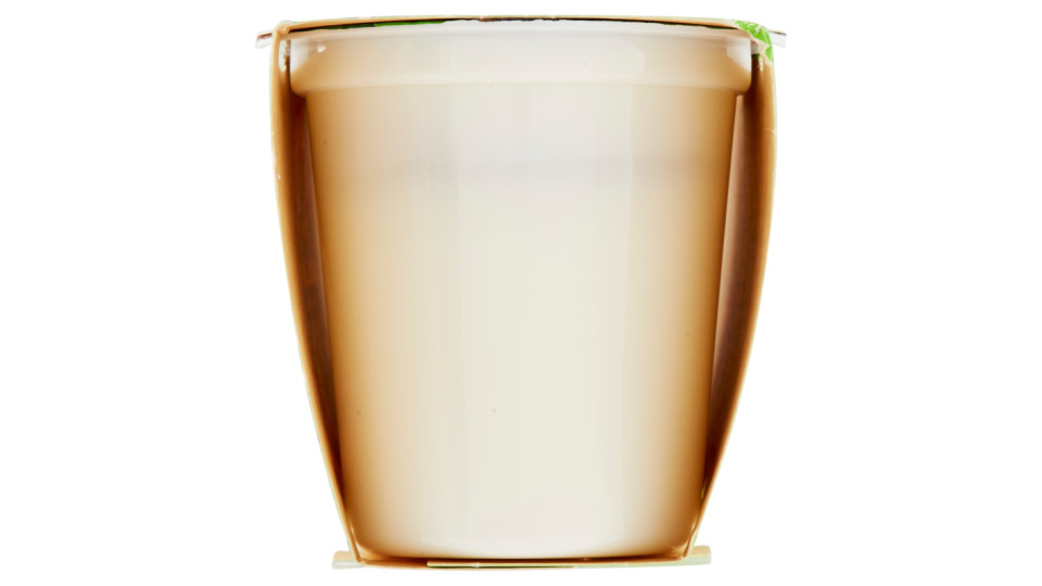 Centrale del Latte di Torino Tapporosso Yogurt Magro Cocco