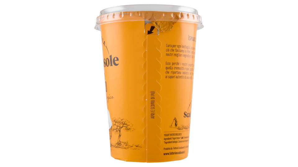 Fattoria Scaldasole Yogurt Naturale Biologico Bianco Intero