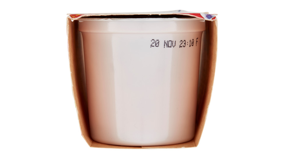 Latterie Friulane Yogurt Fragola in pezzi