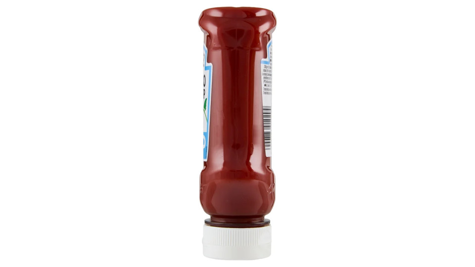 Heinz Tomato Ketchup