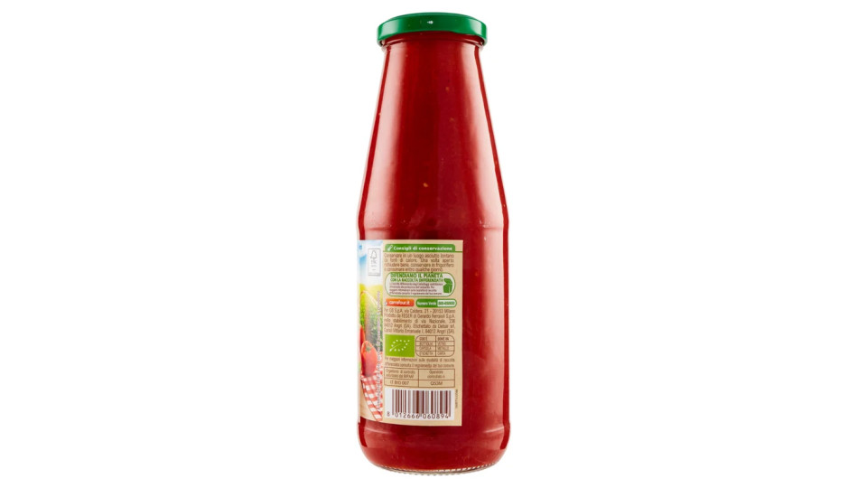 Carrefour Bio Passata rustica