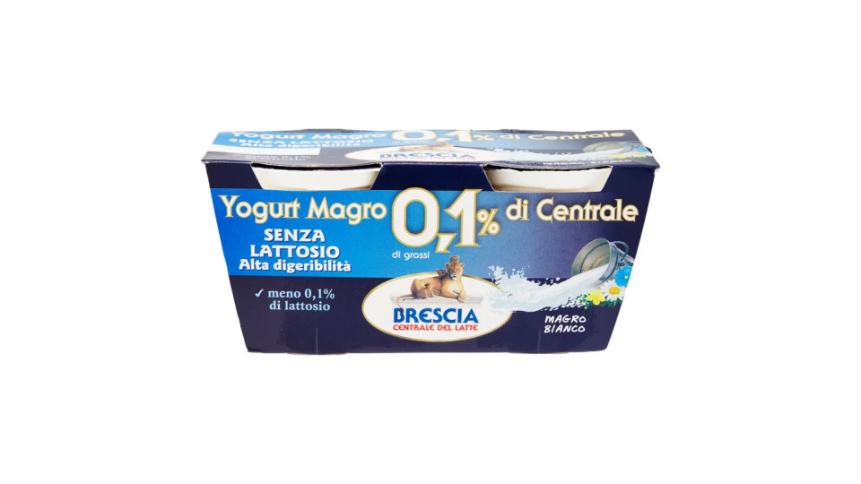 Brescia Yogurt Magro di Centrale 0,1% di grassi Senza Lattosio Ananas