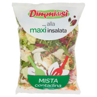 ... alla Maxi Insalata Contadina