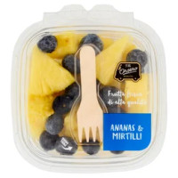 Vitamia ananas e mirtilli