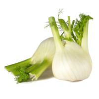 Finocchi