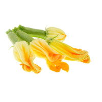 FIORI  DI ZUCCA ***