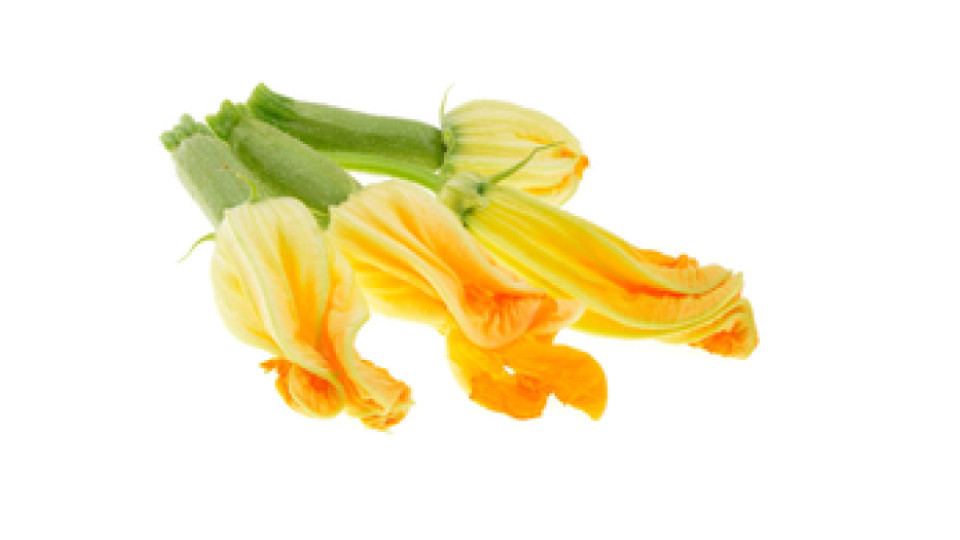Fiori Di Zucca 8-10 Pz