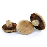 Funghi Portobello