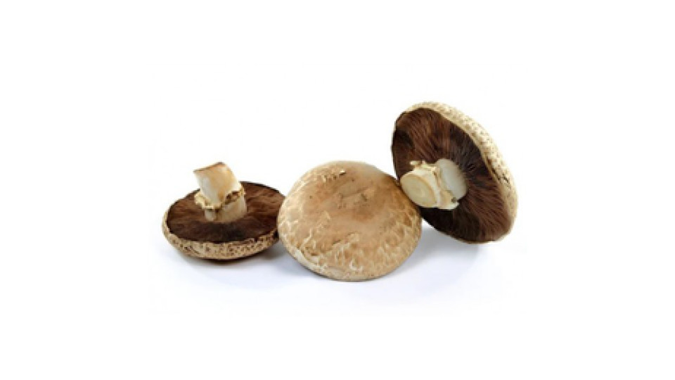 Funghi Portobello