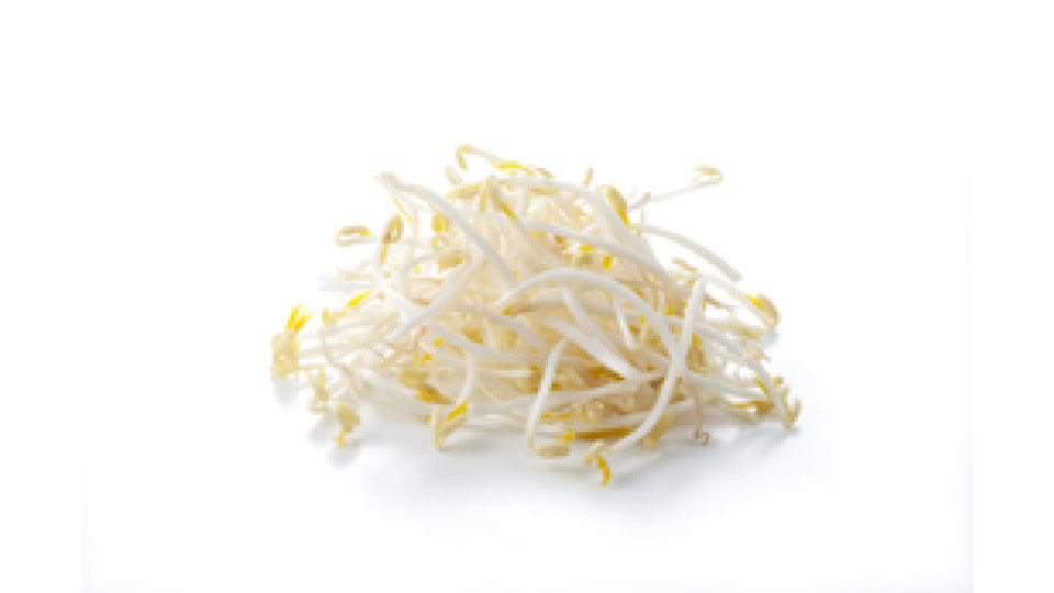 Germogli di Soia 150 g