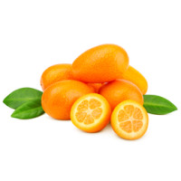 KUMQUAT