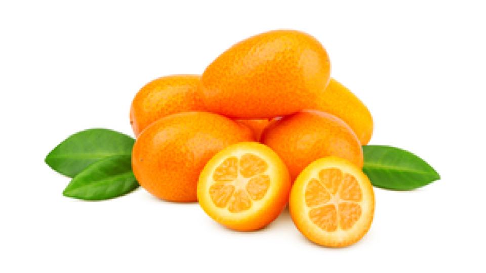 KUMQUAT