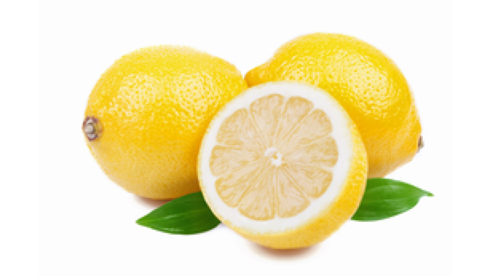 Limoni Calibro 4/5