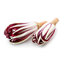 Radicchio Tardivo  