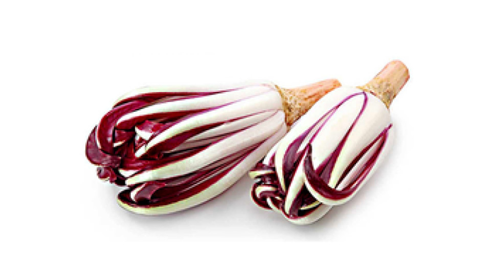 radicchio tardivo