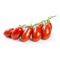 POMODORO DATTERINO ROSSO