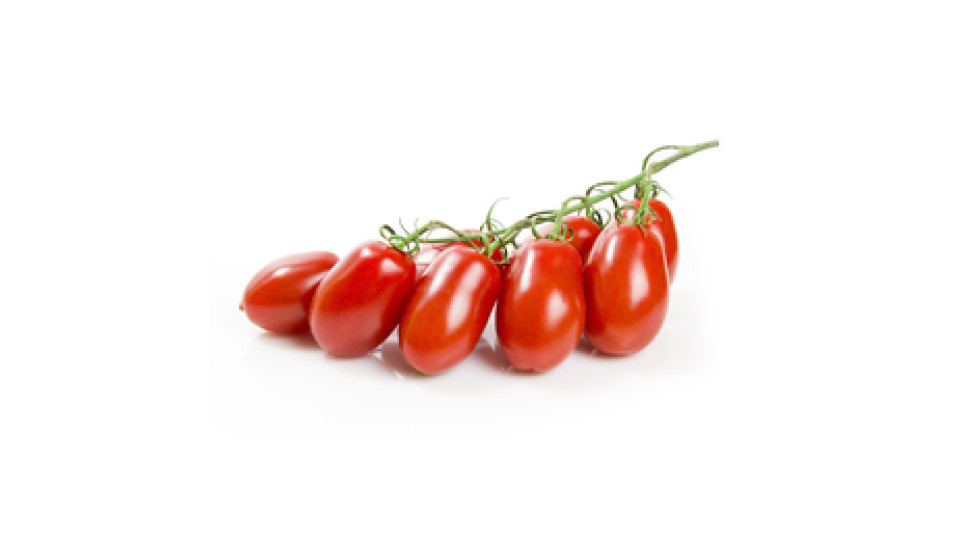 POMODORO DATTERINO ROSSO