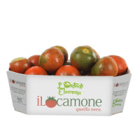 Pomodori Camone