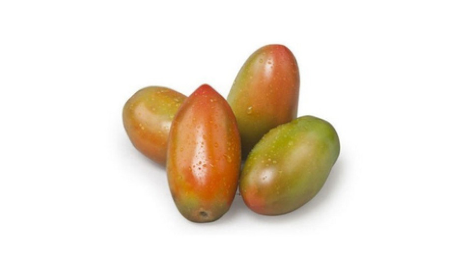 Pomodoro Oblungo Verde  It 50-55 I^ Vh 