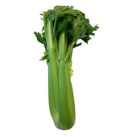 Sedano Verde