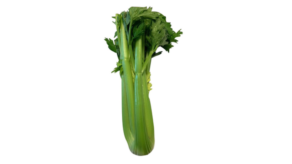 Sedano verde