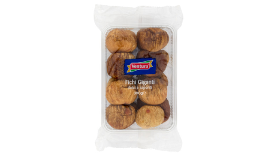 Ventura Fichi giganti