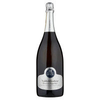 Terre d'Italia Valdobbiadene Prosecco Superiore DOCG Extra Dry 150 cl