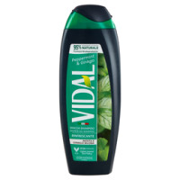 Vidal Peppermint & Ginkgo 3 in 1 for men