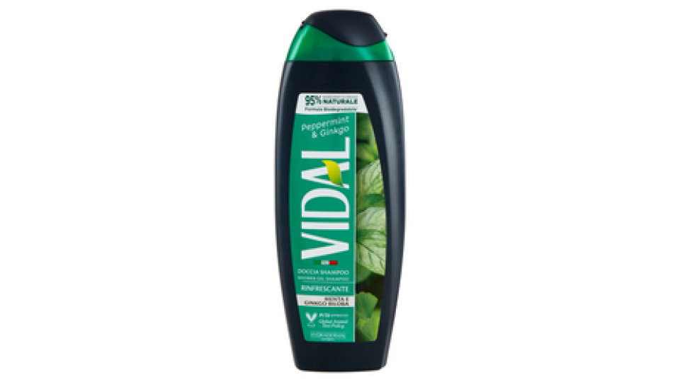 Vidal Peppermint & Ginkgo 3 in 1 for men