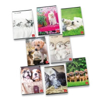 Pigna 8005235100435 quaderno per scrivere A4 42 fogli Colori assortiti